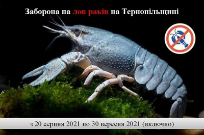 З 20 серпня на Тернопільщині заборонено ловити раків