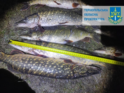 За незаконний вилов риби судитимуть двох мешканців Тернопільщини