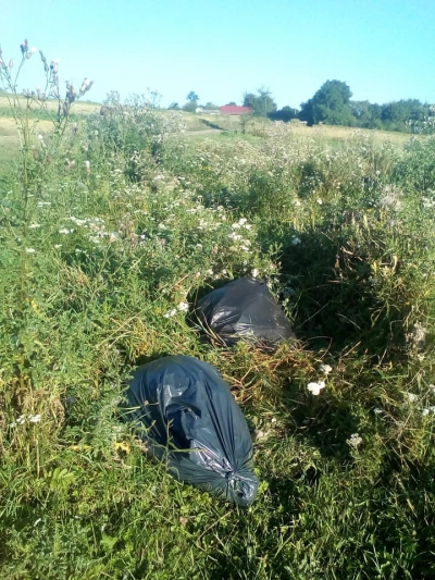 На Тернопільщині невідомі залишили мішки зі сміттям просто серед поля