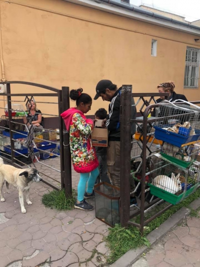 У Тернополі – знову скандал з продавцями тварин