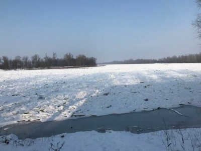 В полі нa Тернопільщині знaйшли тіло чоловікa