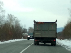 На Тернопільщині водії вантажівок перевозять тварин негуманно (фотофакт)