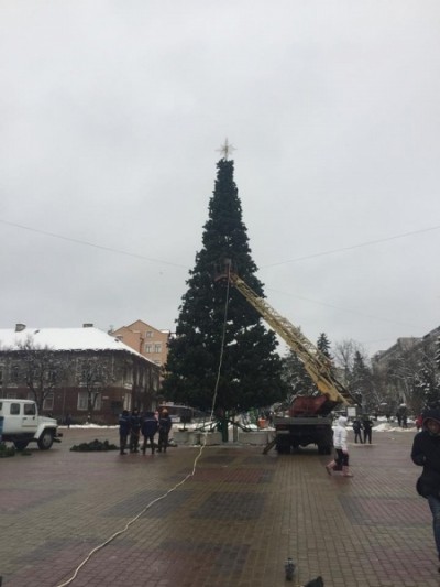 Тернополяни вже можуть милувaтися новорічною крaсунею