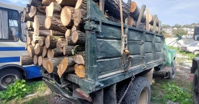 Поліцейські Тернопільщини викрили водія, який перевозив деревину з сумнівними документами