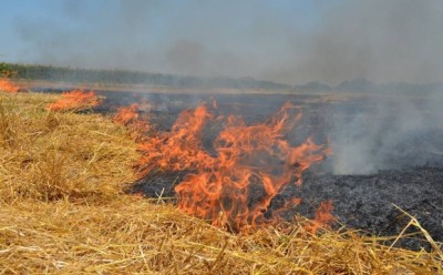 За спалювання стерні тернополянам загрожує &quot;криміналка&quot;