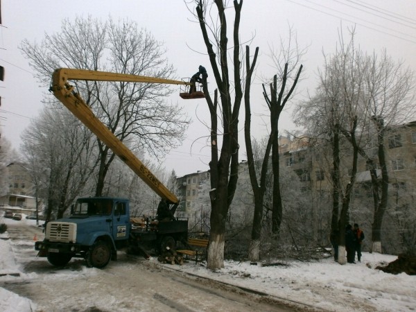 У Тернополі підрізають дерева (фотофакт)
