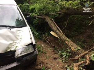 Тернопільських патрульних  хотів оббрехати водій, який &quot;цмокнувся&quot; в дерево