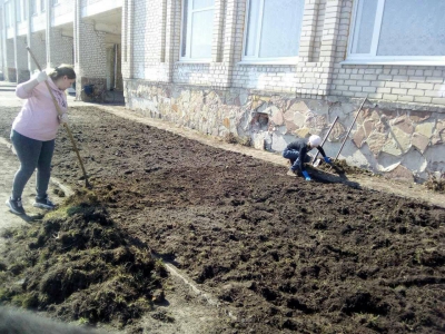 У Почаєві на Тернопільщині невідомі розгромили шкільну клумбу