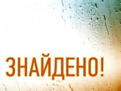 На Тернопільщині розшукали жінку, яка три дні не виходила на зв&#039;язок з рідними