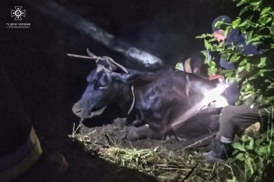 У Тернопільському районі надзвичайники рятували корову