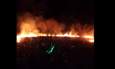 На Тернопільщині підпалили очерет, вогонь перекинувся на дерева (відео)