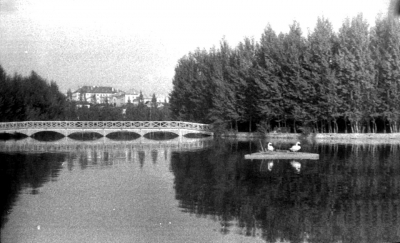 Як виглядав острівець «Чайка» у Тернополі майже 60 років тому (фотофакт)