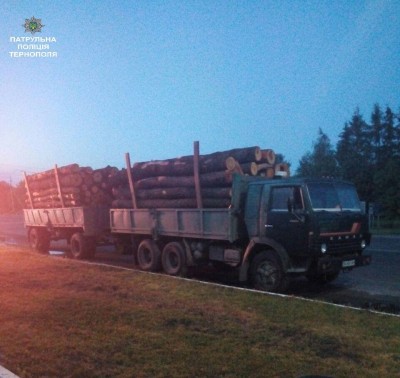 Поблизу Тернополя вночі зупинили вантажівку із незаконною деревиною