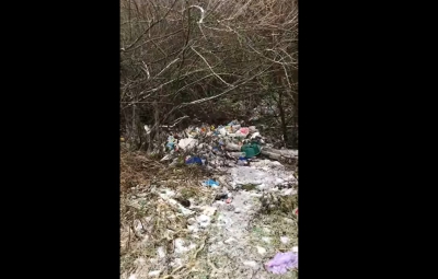У лісі на Тернопільщині – гори сміття (відео)