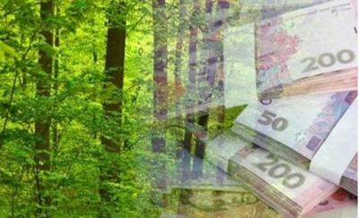 З лісогосподарського підприємства на Тернопільщині стягнуть понад 520 000 грн