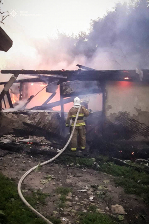 Вогнеборці Тернопільщини ліквідували п&#039;ять пожеж