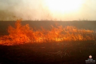 Тернополян вкотре закликають не спалювати суху траву