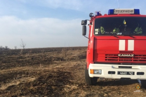 За добу на Тернопільщині виникло 19 загорань у екосистемах