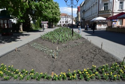 У центрі Тернополя «наводять марафет» (фотофакт)