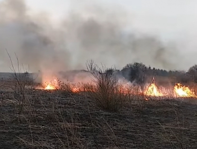 Через спалювання сухої трави на Тернопільщині спалахнула пожежа (відео)