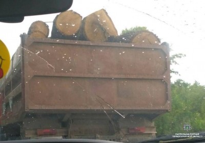 На Тернопільщині патрульні зупинили КамАЗ з нелегальною деревиною