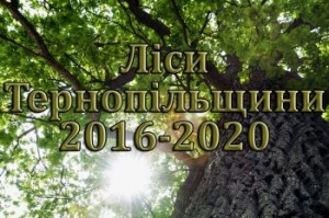 Що буде з лісами Тернопільщини через кілька років - можна прочитати