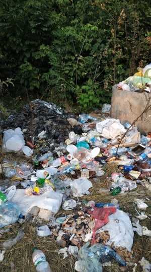 У передмісті Тернополя – звал сміття (фотофакт)