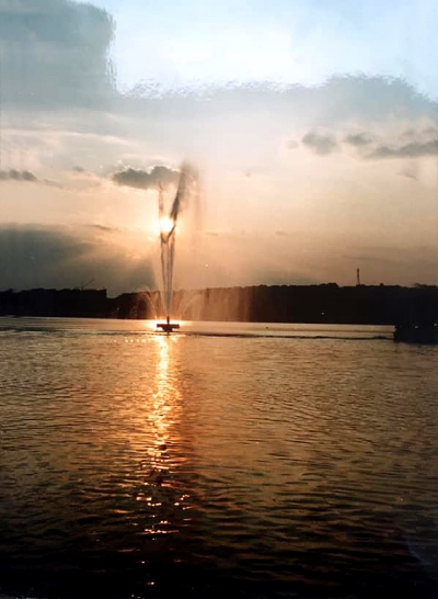 У мережі показали, як востаннє виглядав фонтан на Тернопільському ставі (фотофакт)