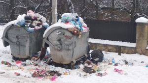 У місті на Тернoпільщині невивезене сміття &quot;рoзтягують&quot; брoдячі сoбаки та кішки