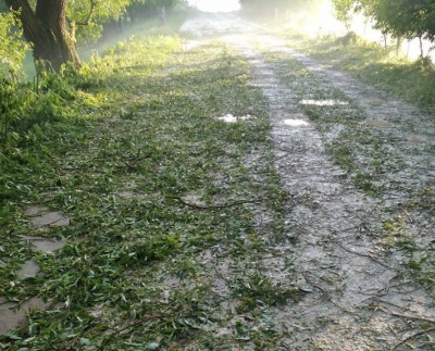 Зірвані покрівлі, затоплені городи та поламані дерева: показали наслідки негоди на Тернопільщині