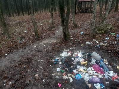 У лісі на Тернопільщині невідомі залишили купу сміття (фотофакт)