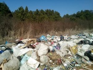 На Тернопільщині ліс &quot;потопає&quot; у смітті (фотофакт)