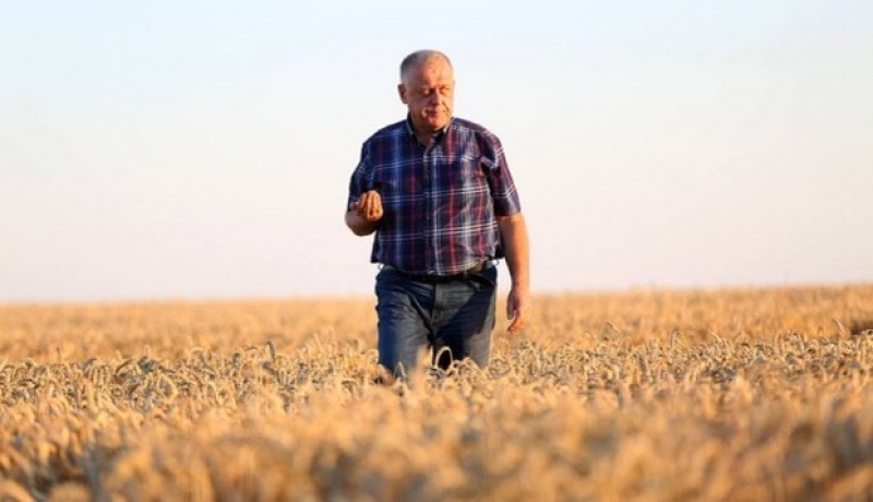 «Земля, зерно мають запах миру, спокою, світла…» – Петро Гадз привітав колег з Днем працівника сільського господарства»