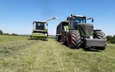 Компанія «Бучачагрохлібпром» розпочала перший етап заготівлі кормів для найбільших тваринницьких комплексів (фото)