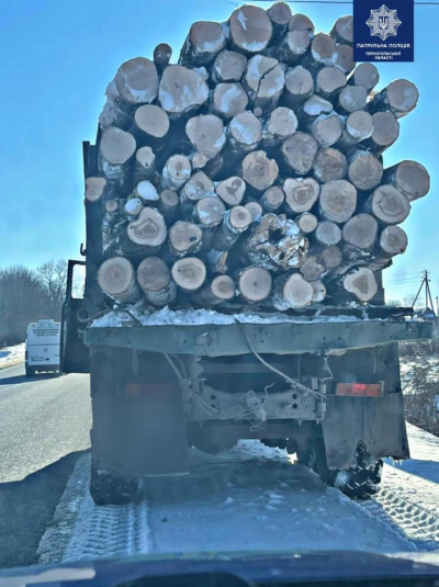 На Тернопільщині перевіряють вантажні транспортні засоби, які перевозять ліс