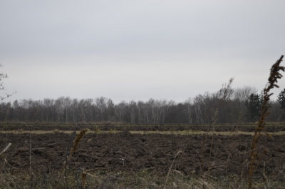 На Тернопільщині фермерське господарство самовільно захопило земельні ділянки, вартістю 82 млн грн