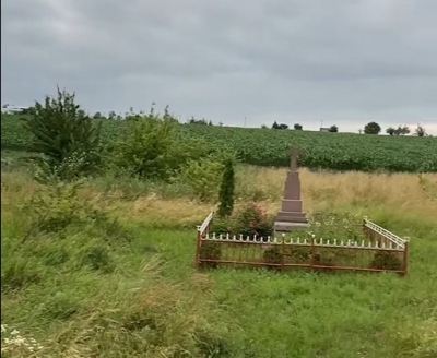 На Тернопільщині цвинтар засадили кукурудзою (відео)