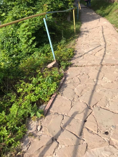 «Висмикнуті квіти та вирвані поруччя»: жителі міста на Тернопільщині скаржаться на вандалів (фото)
