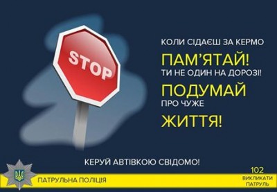 У Тернополі водій спробував втекти від патрульних через те, що в&#039;їхав у клумбу