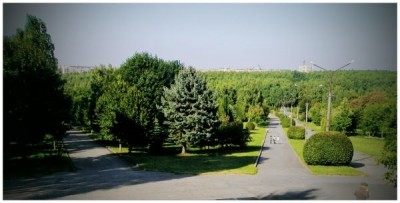 В одному з парків Тернополі була спортивна «біганина»