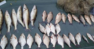 У Тернопільській області браконьєр на човні наловив риби на 70 000 гривень