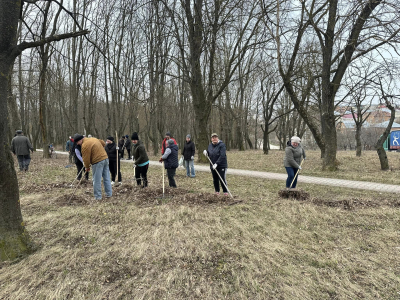 У селищі на Тернопільщині провели весняну толоку