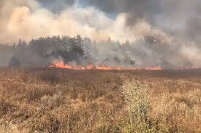 На Тернопільщині не вщухають пожежі в природних екосистемах