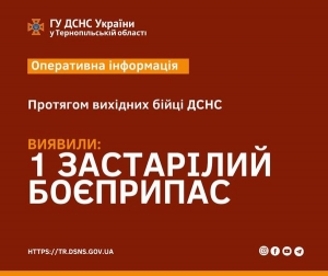 На Тернопільщині виявили мінометну міну