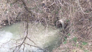 У Чорткові активісти виявили ще одне джерело забруднення річки Серет (відео)