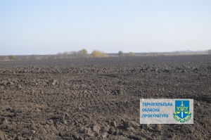На Тернопільщині у росіянки конфіскували три земельні ділянки