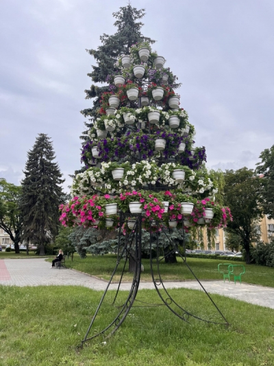 Понад 500 вазонів з квітами висадили на центральних вулицях Тернополя