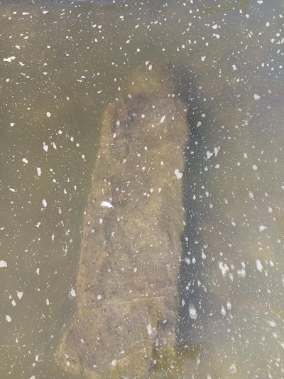 Історичну знахідку знайшли у водах на Тернопільщині (фото)
