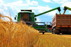 За підсумками збирання зернових і зернобобових культур Тернопільщина посіла четверте місце в Україні