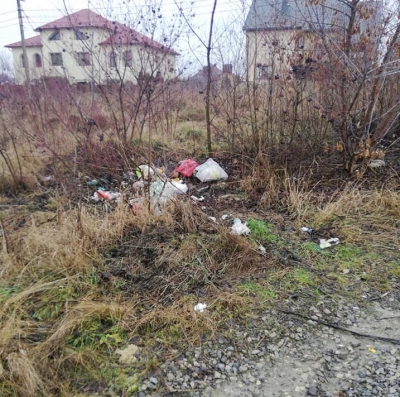 У селі на Тернопільщині узбіччя дороги закидали сміттям (фотофакт)